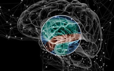 Brain activity pattern may be early sign of schizophrenia
